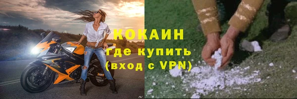 прущие грибы Дмитровск
