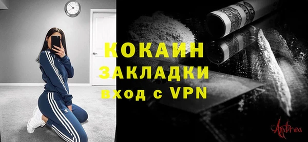 спиды Дмитриев