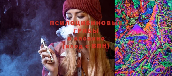 спиды Дмитриев