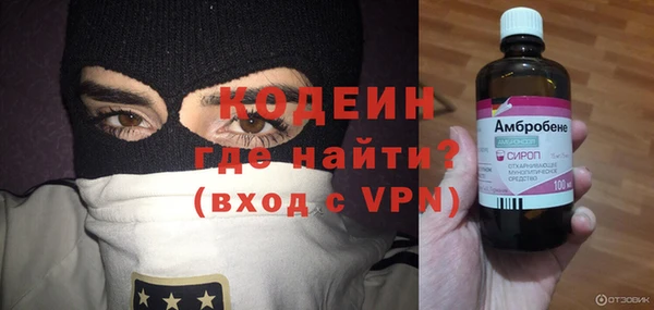 СК Елизово