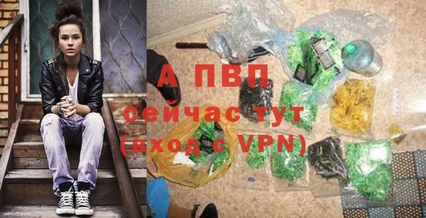 СК Елизово