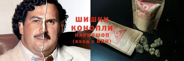 СК Елизово