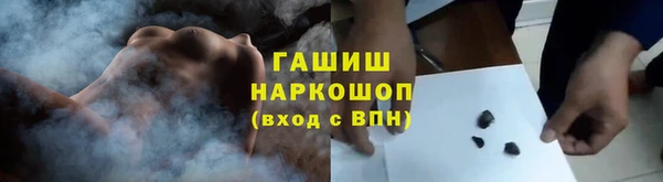 СК Елизово