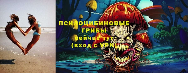 ешки Елабуга