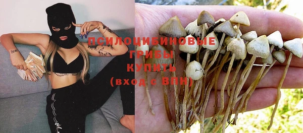 ешки Елабуга