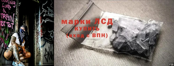 СК Елизово