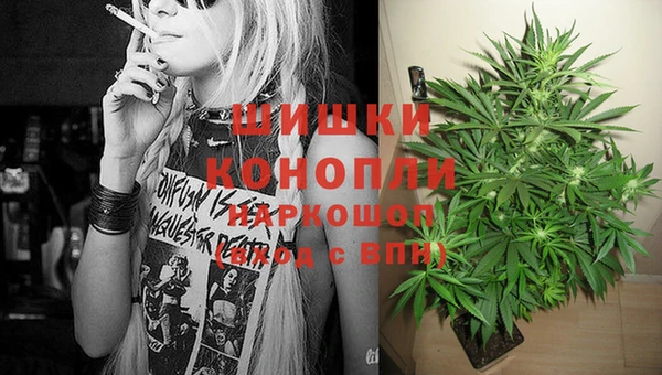 прущие грибы Дмитровск