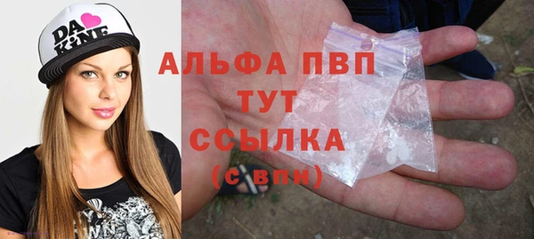 прущие грибы Дмитровск