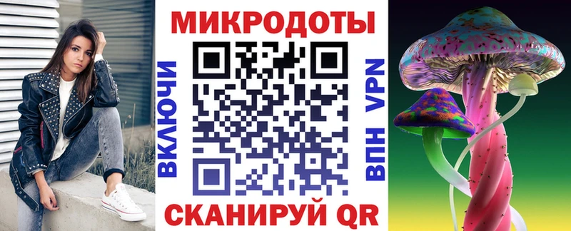 Галлюциногенные грибы Psilocybe  Майкоп 